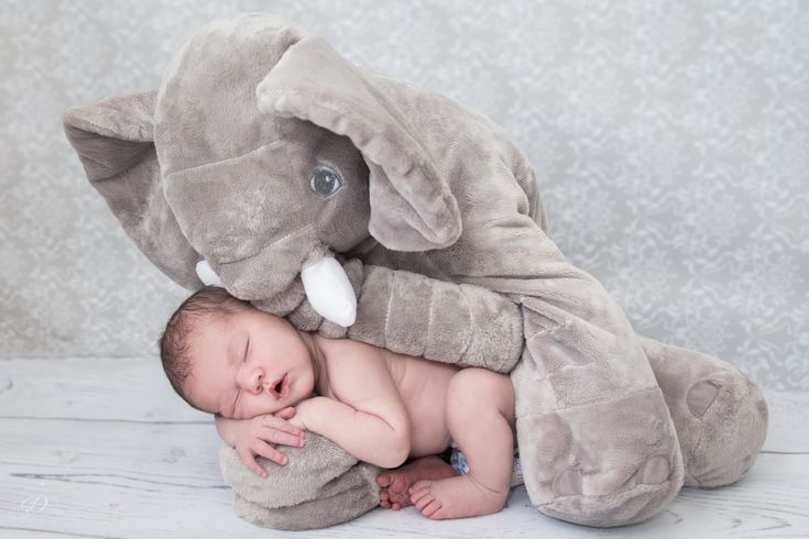 Surrounding the baby with stuffed animals for a cute, cozy scene.